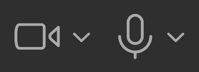 Toggle video and audio options